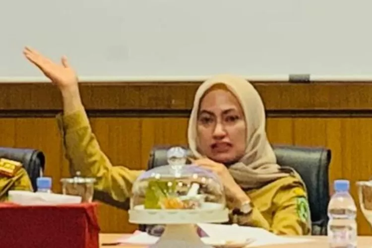 Desa Maipi Luwu Utara Diharap Jadi Model Desa Tangguh Bencana Nasional (Dok. LHR)