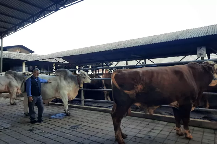 Pemilik Mal Hewan Kurban di Depok, Haji Doni (Tracy Bacas/Radar Depok )