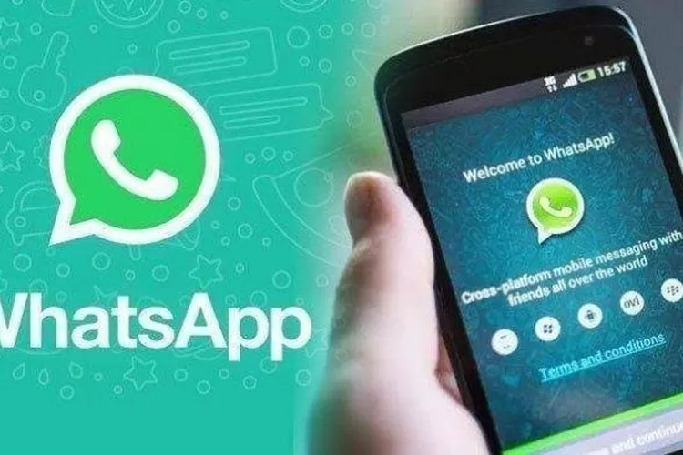 WhatsApp Beta merupakan program yang dibuat agar pengguna dapat mencoba dan menguji fitur, serta perubahan baru yang dikembangkan oleh WhatsApp sebelum dirilis secara resmi. (Istimewa)