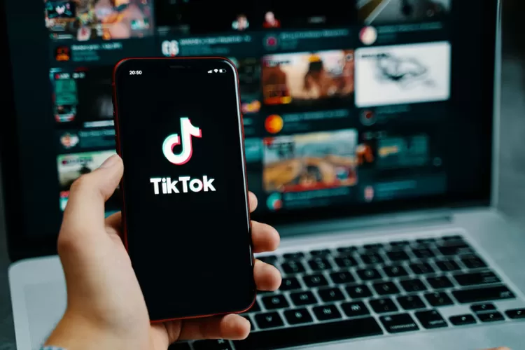 Cara Download Video TikTok Tanpa Watermark di Android dan iPhone ( Pixabay )