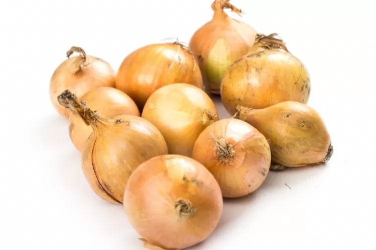 Bawang putih bisa jadi penurunan gula darah anda (freepik@Racool_studio)