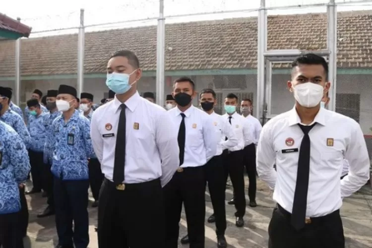 Pendaftaran Cpns Tinggal Menghitung Hari Dua Hal Ini Bisa Buat Kamu Tidak Lolos Seleksi