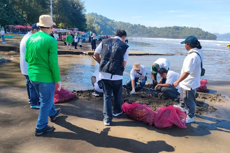 Relawan PLN Sumbar Kumpulkan 1,2 Ton Sampah, Kini Pantai Air Manis Makin Bersih (Humas PLN )