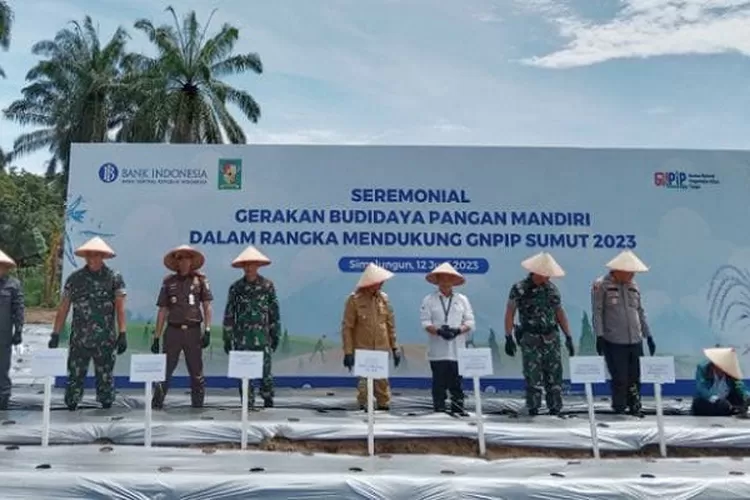 KPw BI Pematang Siantar Muqorobin bersama forkopimda Simalungun melakukan penanaman bibit cabe rawit secara simbolis dalam, rangka dukung GNPIP Sumut (Realitasonline.id/SS)