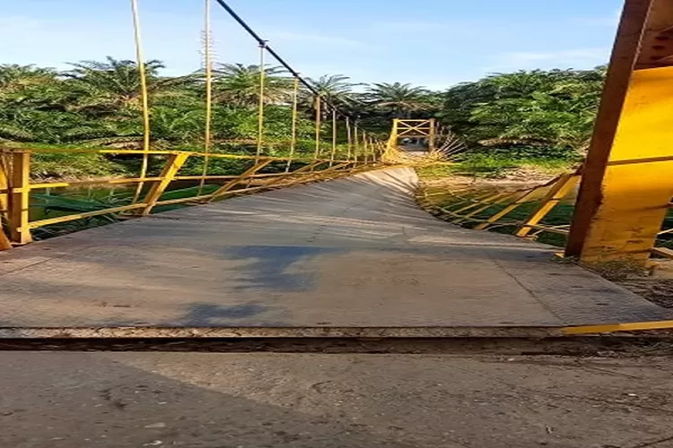Kondisi Jembatan Rambin Aek Nabara Barumun&nbsp; (Realitasonline.id/SS)