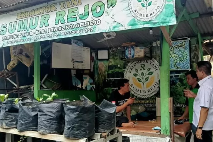 Tim BPJS Ketenagakerjaan Surabaya Tanjung Perak saat menemui petani hidronik
