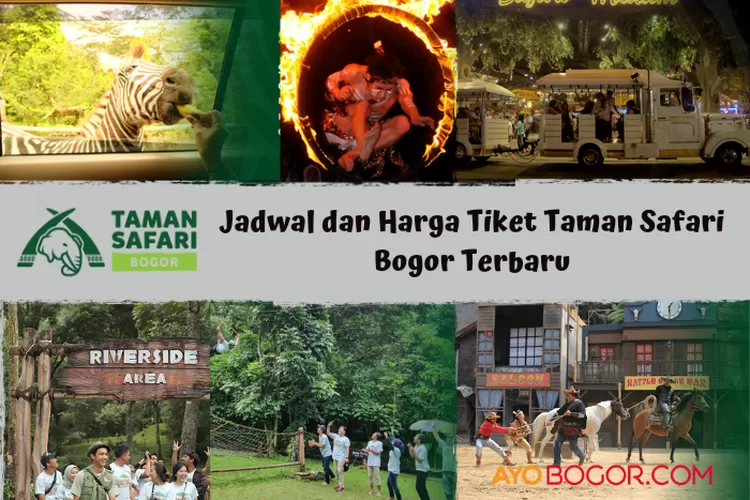 Update Jadwal dan Harga Tiket Taman Safari Bogor 2023 (tamansari.com)