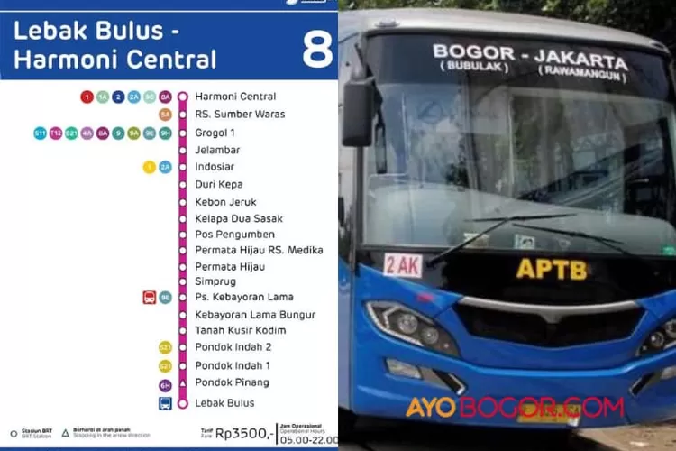 Rute Jalan Bus Transjakarta Lebak Bulus Hingga Bogor Halte Pasar Baru ...