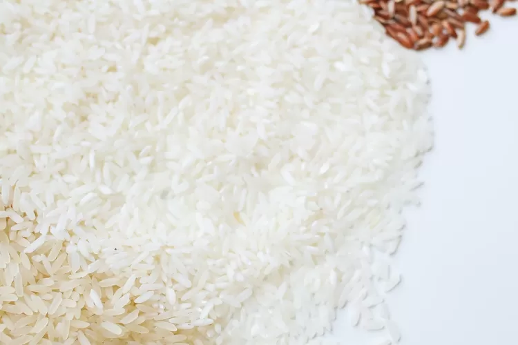 Ilustrasi nasi putih dan nasi merah (Pexels Polina)