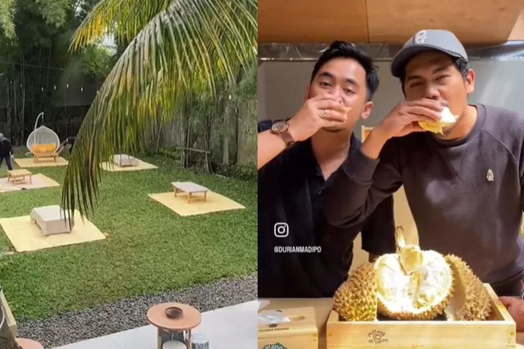 rekomendasi tempat makan durian di Jaksel dengan tempat estetik. (Tangkap layar TikTok @madipo)
