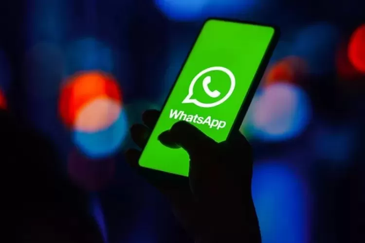 Cara Keluar dari Grup WhatsApp Tanpa Terdeteksi: Trik Diam-diam untuk Meninggalkan Grup  ( Pixabay 