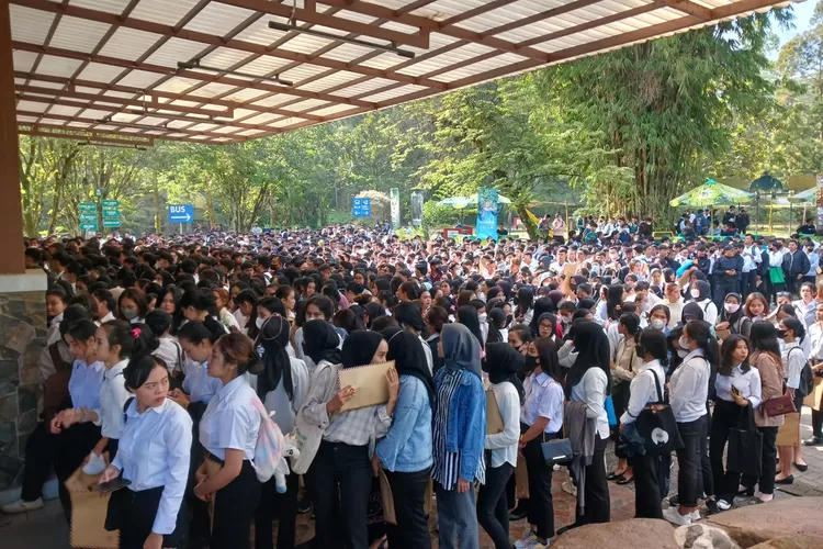 Antrean pelamar di Taman Safari Bogor