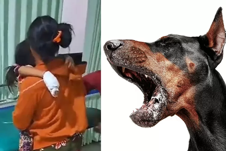 5 Arti Mimpi Digigit Anjing Rabies: Waspadalah, Tapi Jangan Panik!