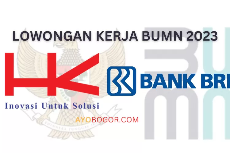 4 Lowongan Kerja BUMN 2023 Terbaru, Mulai dari Hutama Karya Hingga Bank BRI, Segera Daftar Sebelum Terlambat! (AYOBOGOR.COM)