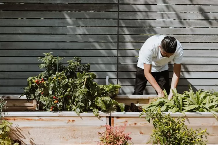  Ilustrasi menata taman di rumah untuk tempat relaksasi (Priscilla Du Preez via unsplash.com)