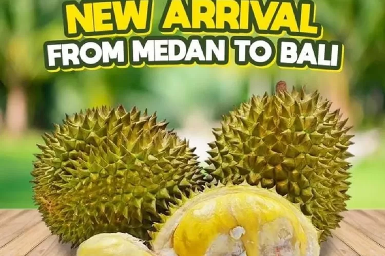 House of Durian Bali