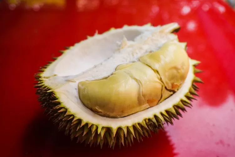 habis makan durian apakah boleh minum obat (Pixabay)