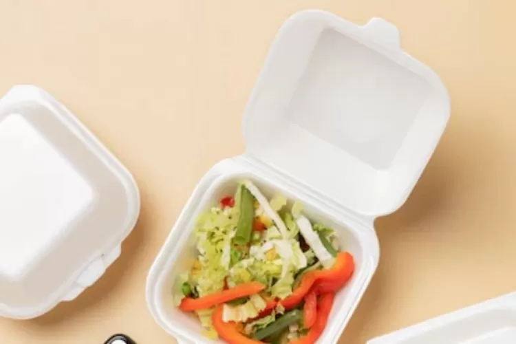 Penggunaan styrofoam untuk kemasan makanan (Freepik)