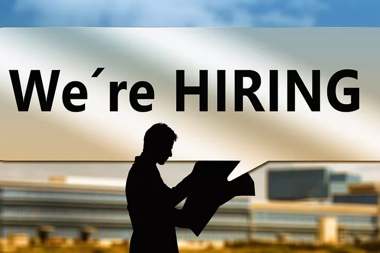 lowongan kerja Bank BTN 2023. (pixabay)