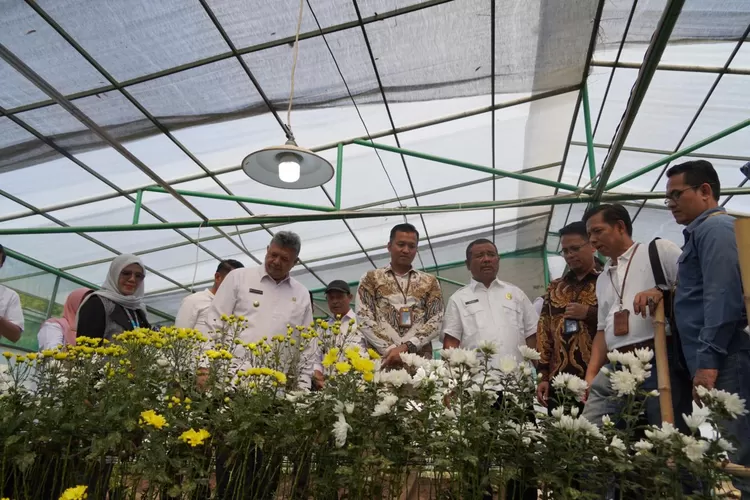 Gelontorkan TJSL Rp300 Juta, Wako Solok Apresiasi PLN Peduli Agrowisata Batu Patah Payo  (Humas PLN )