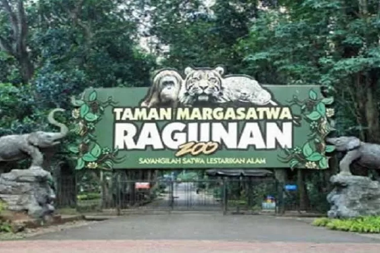 Tempat  rekreasi murah meriah Taman Margasatwa Ragunan ( TMR) bekerja sama dengan BUMD Bank DKI menggelar tiket promo pada Kamis- Sabtu  ( 22-24 Juni 2023) 