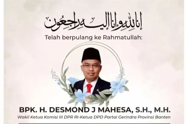 Wakil Ketua Komisi III DPR RI Desmond Junaidi Mahesa  (Ist)