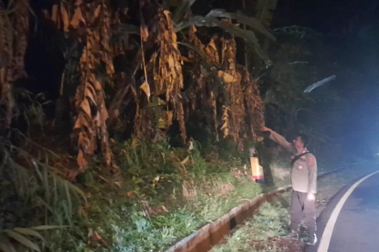 Lahan Kosong Terbakar di Puncak Bogor Polisi Datangi TKP