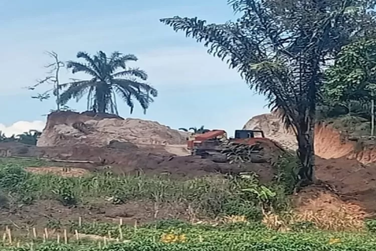 Kegiatan Galian C di Desa Taman Sari saat alat berat bekerja mengurug tanah   (Realitasonline.id/HS)