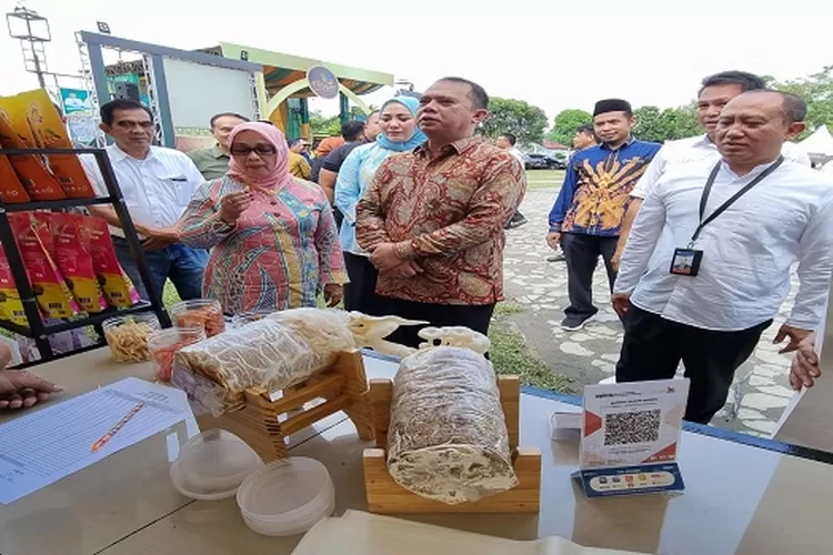 Kepala Perwakilan BI Pematang Siantar Muqorobin bersama Forkopimda Labuhan Batu tinjau stan UMKM  (Realitasonline.id/SS)