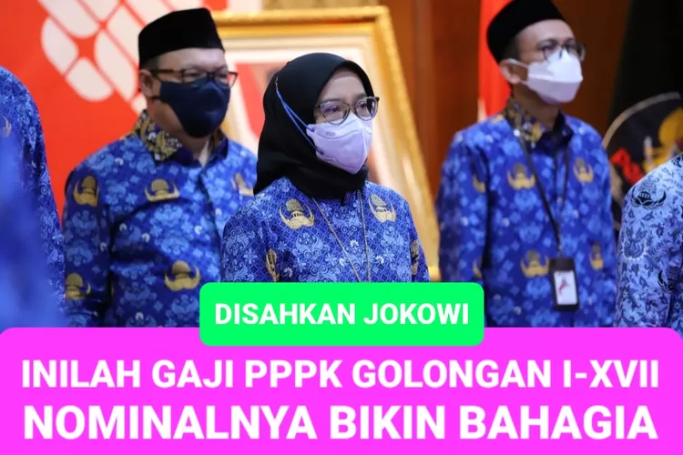 Sudah Disepakati Jokowi Segini Besaran Gaji Pppk Lengkap Dari Golongan I Hingga Xvii Nominalnya