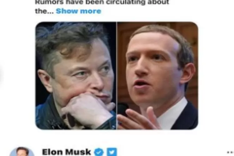 Mark Zuckerberg vs Elon Musk (Instagram @whatnowid)