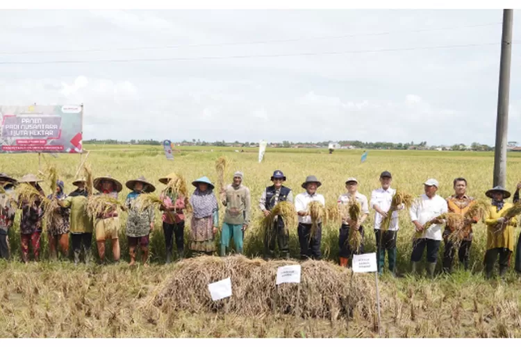 Kegiatan pertanian untuk produksi padi (Dinas Pertanian)