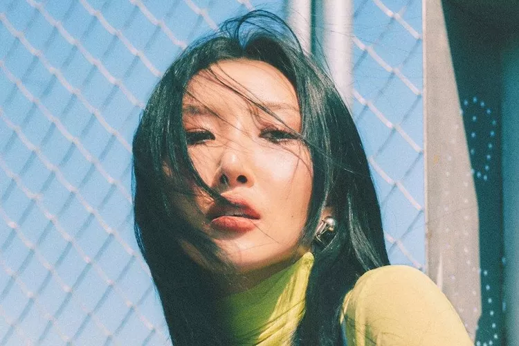 Hwasa MAMAMOO (Sumber: Soompi)