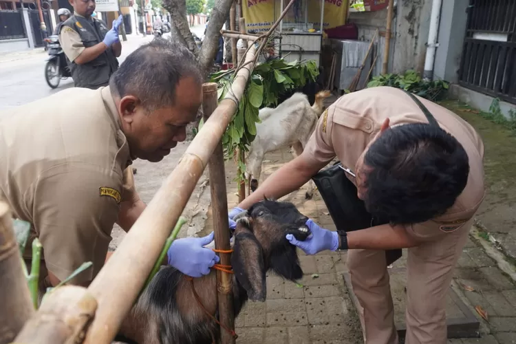 Ilustrasi - Khurbah Jumat NU Online tentang ibadah kurban. Cek link downloadnya di sini. (Foto: Muslihun/kontributor Batang)