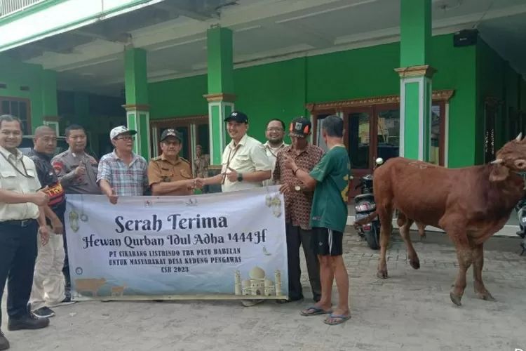 Kades Kedung Pengawas menerima hewan qurbandi halaman Masjid Nurul Hidayah  (satuarah.co)