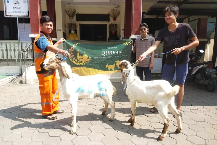 Kalibata City Square turut memeringati momentum Idul Adha dengan membagikan hewan qurban untuk masyarakat sekitar.