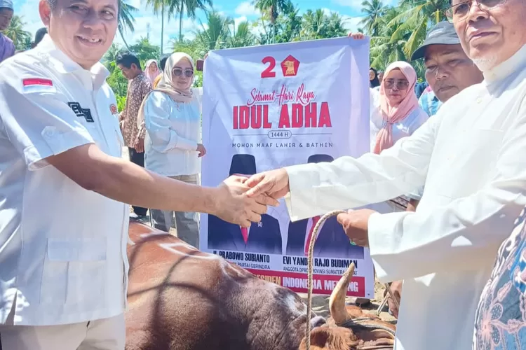 Prabowo kurban sapi seberat 1,2 ton di Sumatera Barat