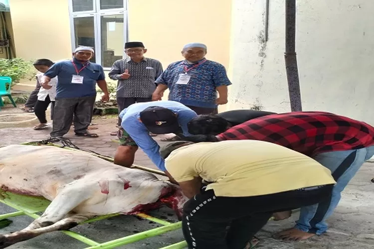 Penyembelihan hewan kurban di Masjid Raya Kisaran  (Realitasonline.id/HS)