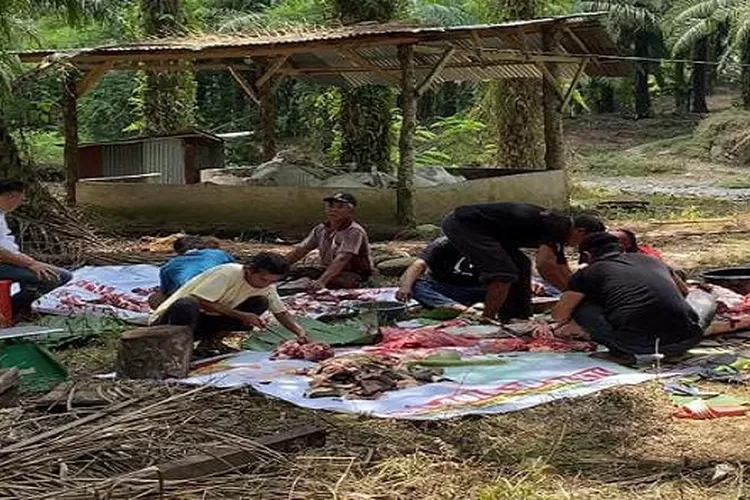Daging kurban dibagi-bagikan kepada masyarakat dari pekurban Ketua SOKSI Depicab Deli Serdang (Realitasonline.id/AP)