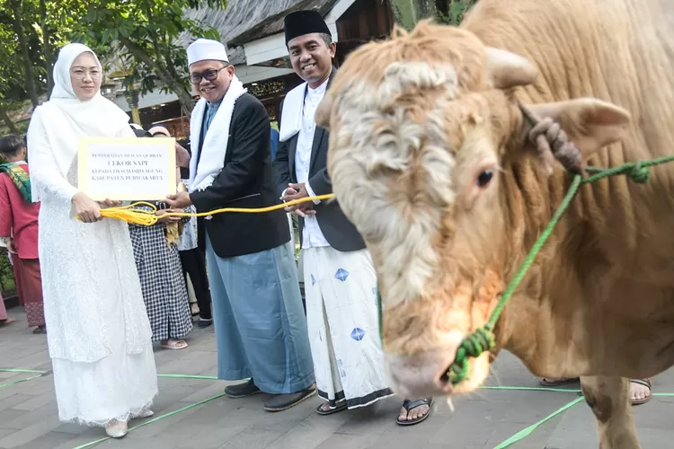 Bupati Purwakarta Anne Ratna Mustika pada momen Idul Adha 2023. (Diskominfo Purwakarta)