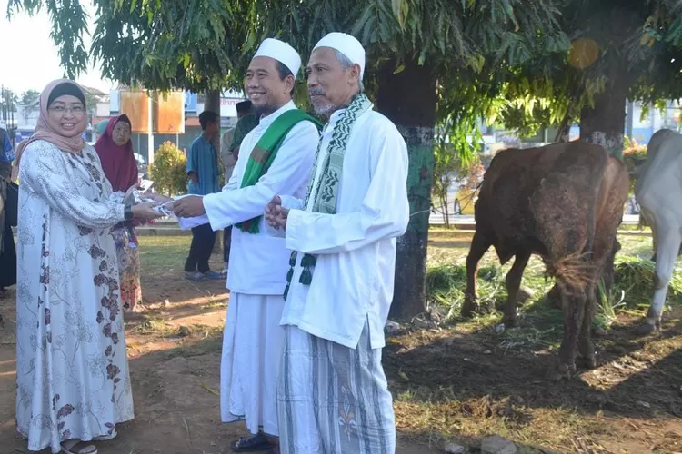 Penjabat Bupati Batang Lani Dwi Rejeki meyerahkan hewan kurban seekor sapi kepada Takmir Masjid Agung Darul Muttaqin, KH. M. Saefudin Zuhri. (Foto: dok)