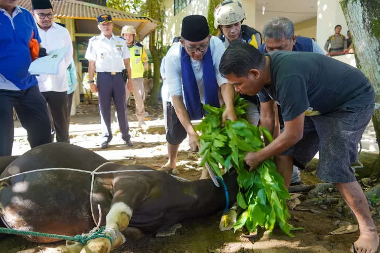 Wali  Kota Padang Hendri Septa melakukan penyembelihan hewan kurban perdana di Masjid Ukhuwah Komplek Perkantoran Balaikota Padang. (Dv/Prokopim Pdg)