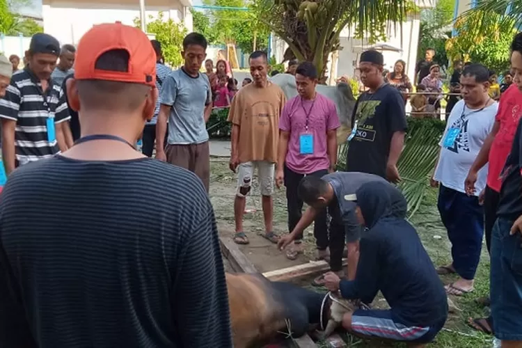 Pengelola Rusunawa Kayu Putih Sembelih Hewan Kurban (Realitasonline.id/AH)