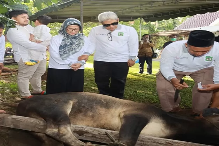 Wali Kota dr Susanti didampingi H Kusma Erizal Ginting saksikan penyembelihan hewan qurban idul Adha 1444 H  (Realitasonline.id/SS)