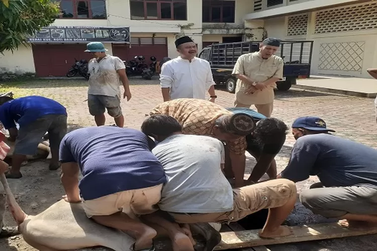 Ketua dan Sekretaris PWI Sumut H Farianda Putra Sinik dan SR Hamonangan Panggabea menyaksikan penyembelihan  Sapi kurban (Realitasonline.id/mis)