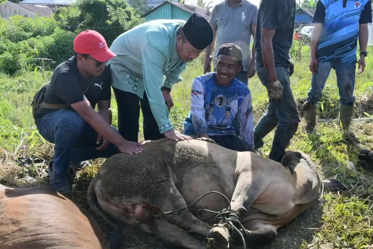 Bupati Agam, Dr. H Andri Warman dan keluarga besarnya turut serta dalam berkurban dengan menyembelih seekor sapi di kampung halamannya (AMC News)
