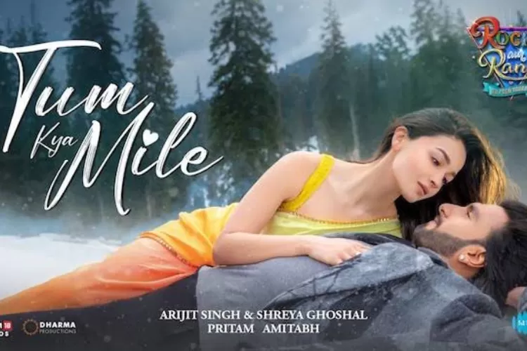 Lirik Terjemahan Lagu Tum Kya Mile (Arijit Singh, Shreya Ghoshal) (YouTube.com/SeragamaMusic)
