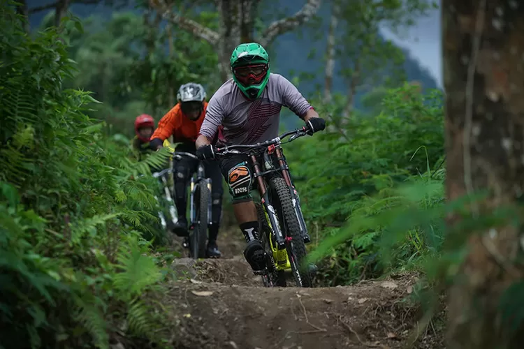 Olahraga Ekstrem Panjat Tebing di Lembah Harau Sumatera Barat (Indonesia Travel)