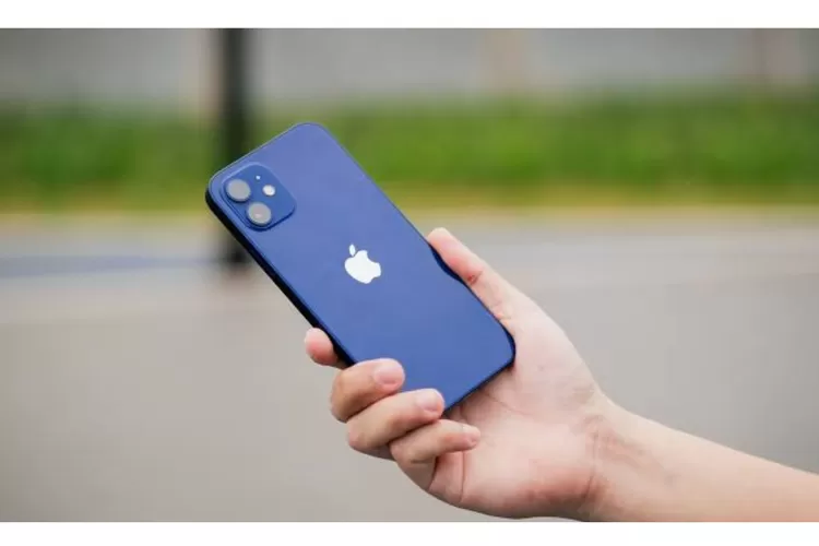 Potret iPhone 12 (pukeva.com)