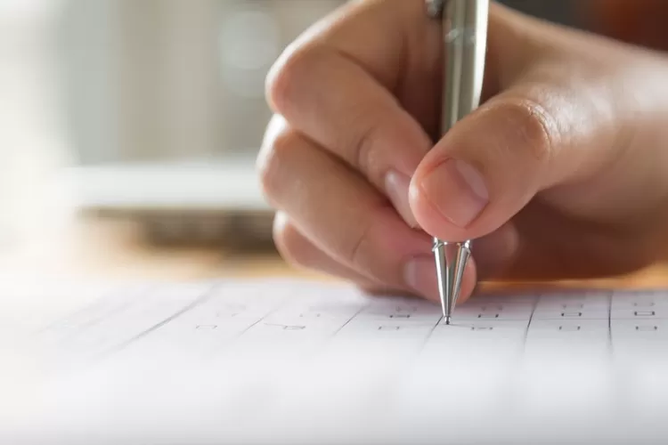 Formasi CPNS 2023 Sampai Sejuta Lebih, Begini Prioritas Pemerintah untuk CASN 2023 (Freepik)